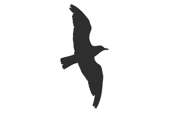 Download Flying Bird Black Silhouette. Wild Fauna - Fauna Collection
